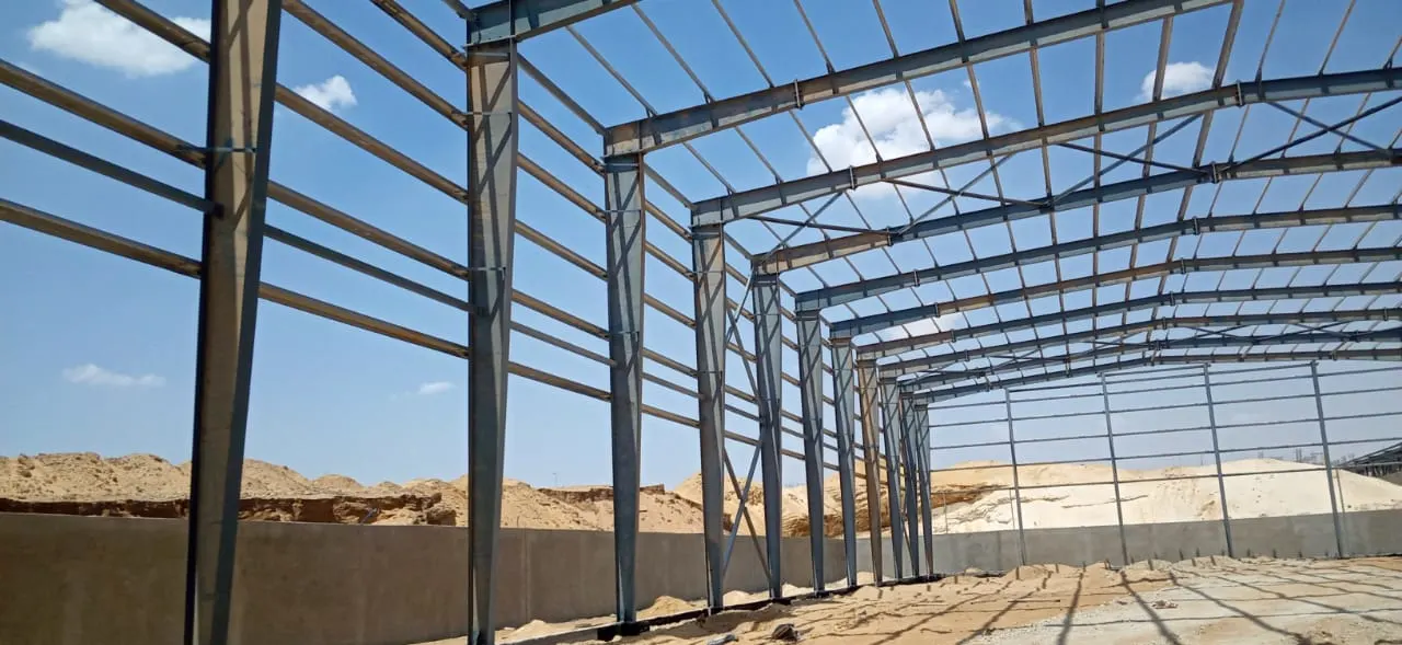 مبنى البارون الفولاذي — صورة 6